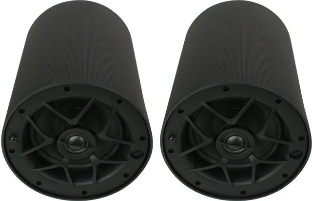 Origin Acoustics® Professional 6.5" Black Pendant Speaker