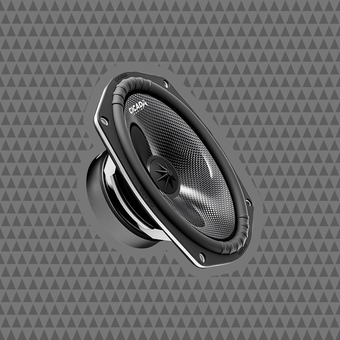 6 X 9-inch Pro Mid-Bass – 2Ω – PAIR