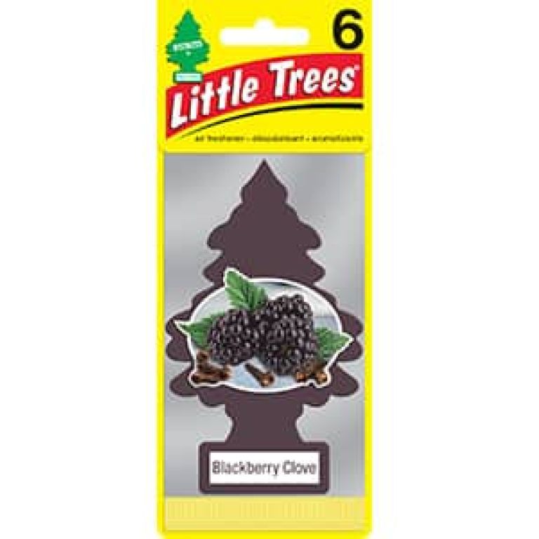 Little Trees Blackberry Clove 6 Pack U6P67343