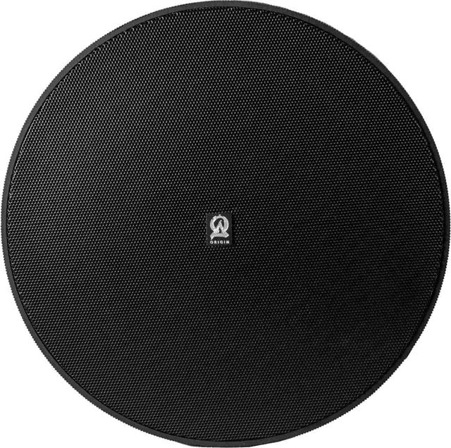 Origin Acoustics® Professional 8" Black Pendant Subwoofer