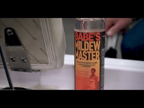 P & S Detail Products BABE'S Mildew Master BB8516