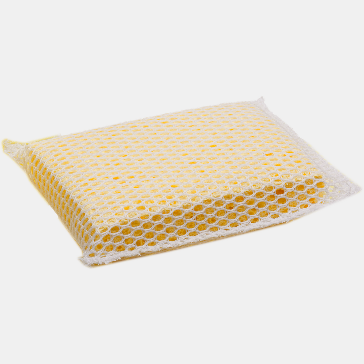 P & S Detail Products SM Arnold Profess. Bug Sponge SC463