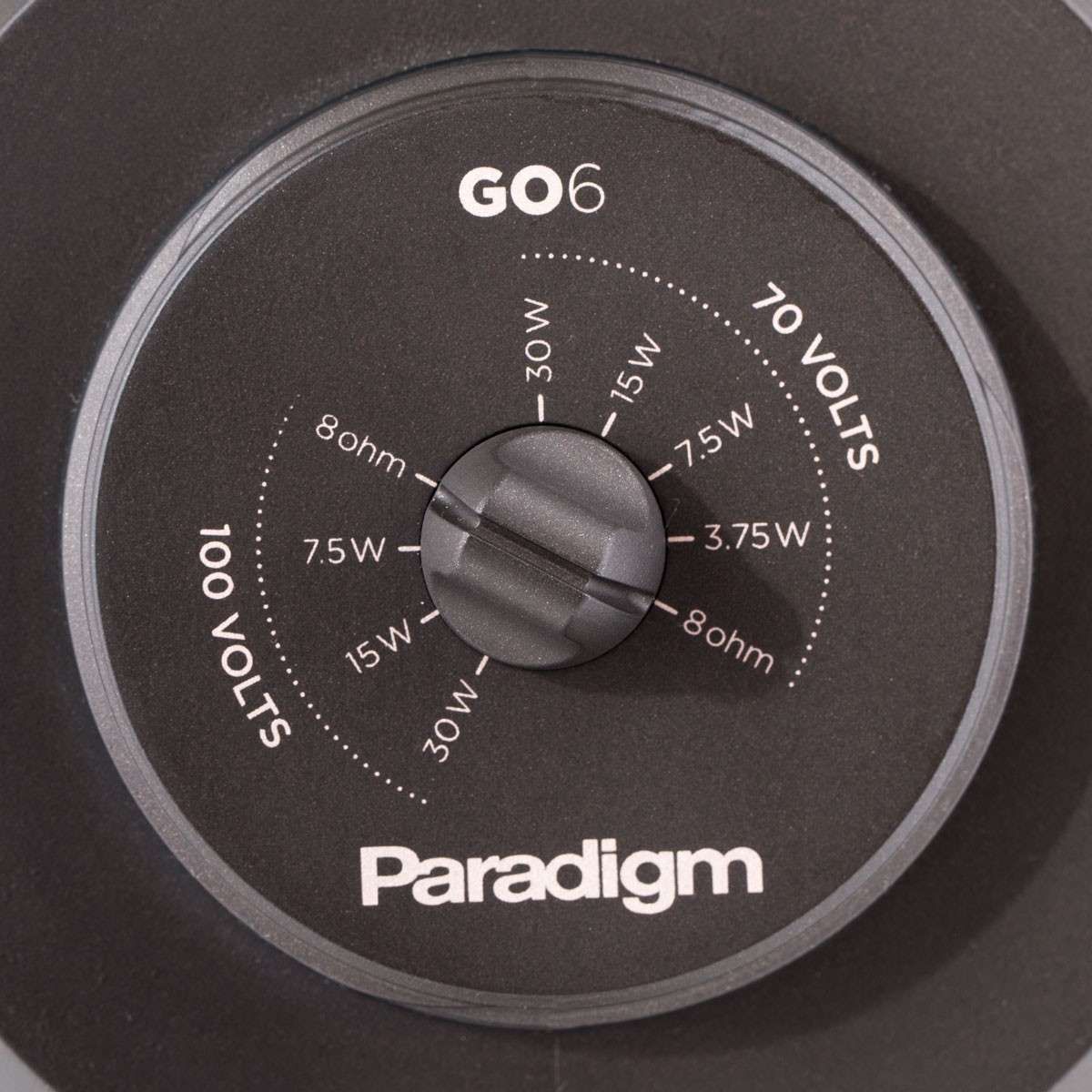 Paradigm® Garden Oasis 6" Satin Bronze Satellite Speaker