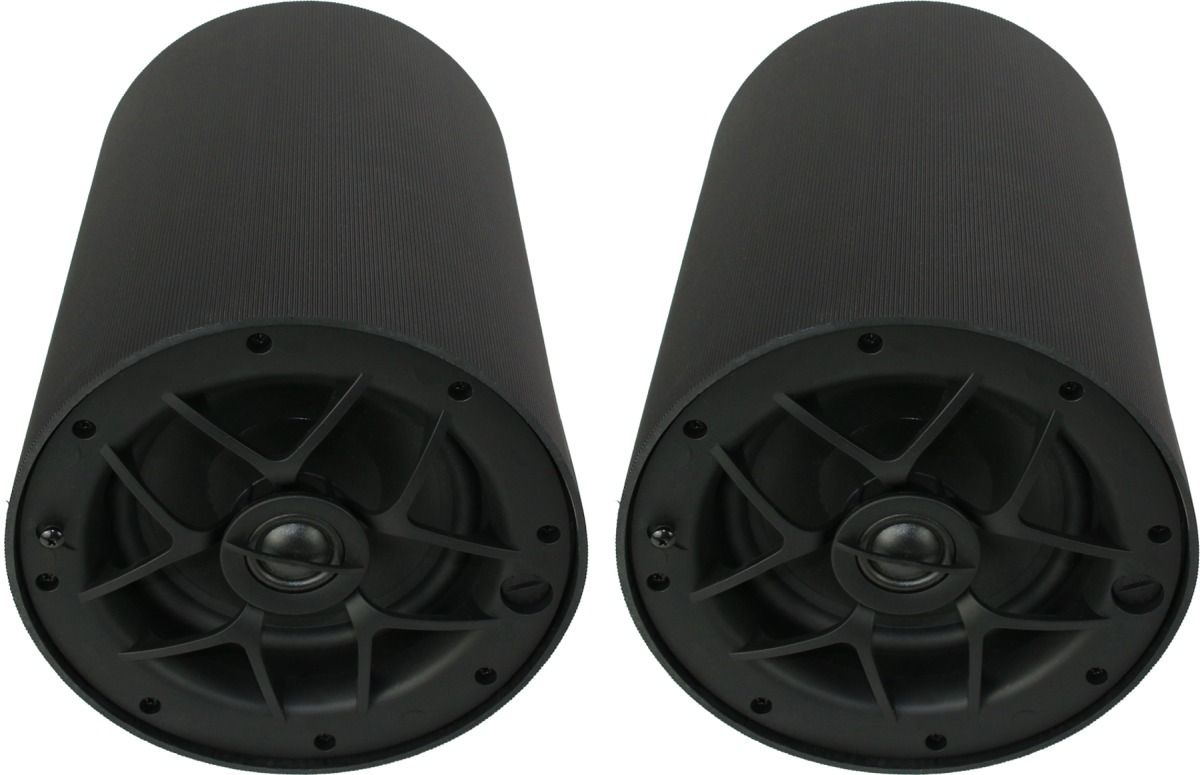Origin Acoustics® Professional 6.5" Black Pendant Speaker