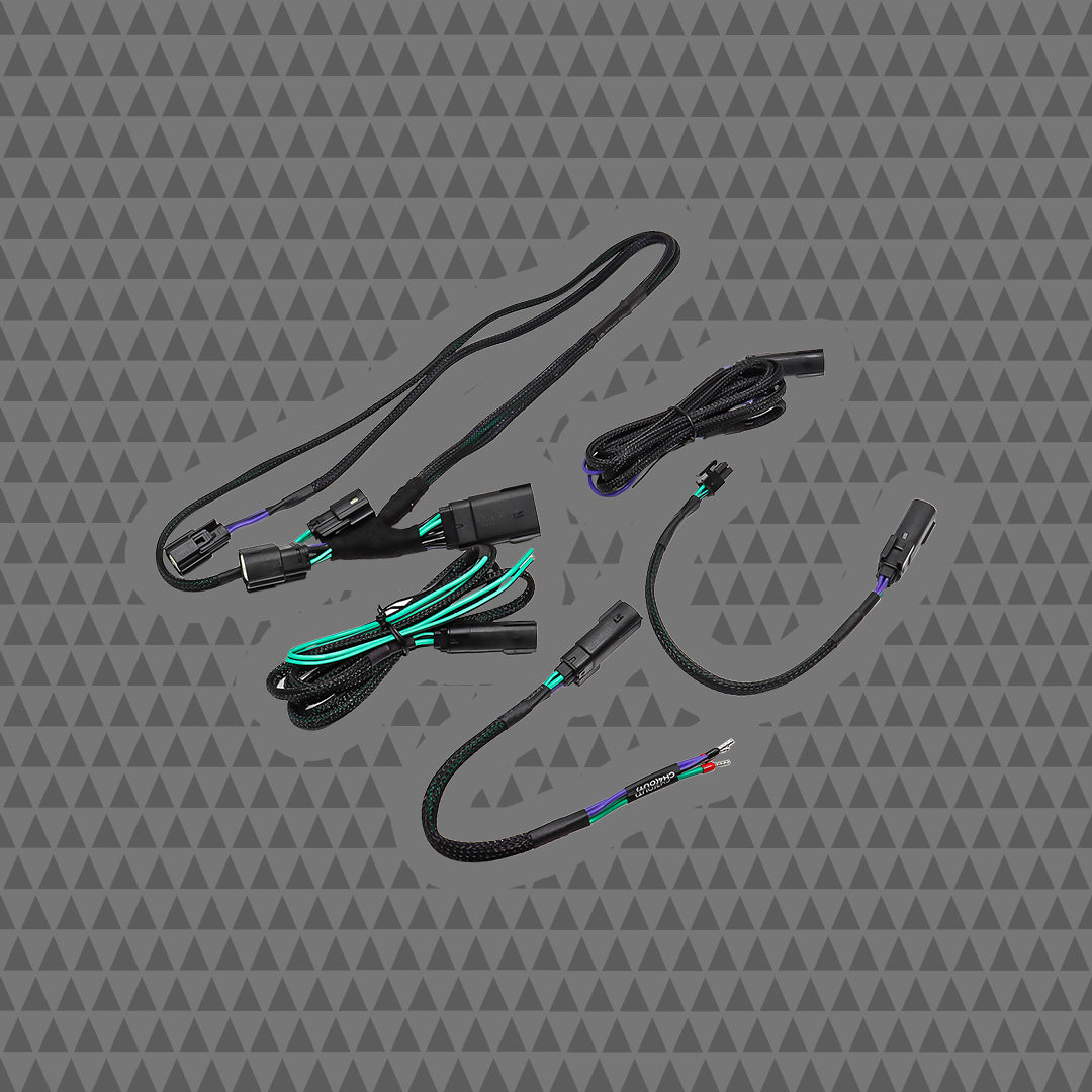2024+ H-D® Rear Output Speaker Wire Harness