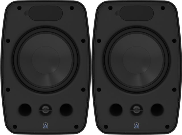 Origin Acoustics® Professional 8" Black Surface Mount Speakers