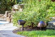 Paradigm® Garden Oasis 6" Satin Bronze Satellite Speaker