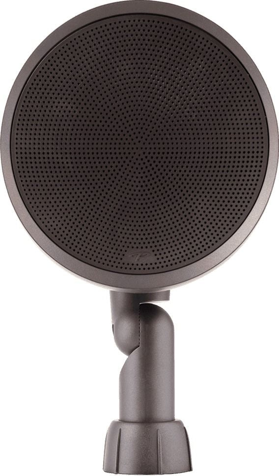 Paradigm® Garden Oasis 6" Satin Bronze Satellite Speaker