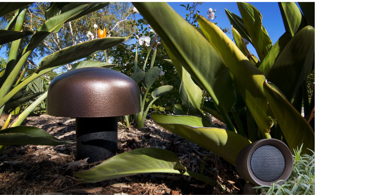 Wide Open Sound category image
