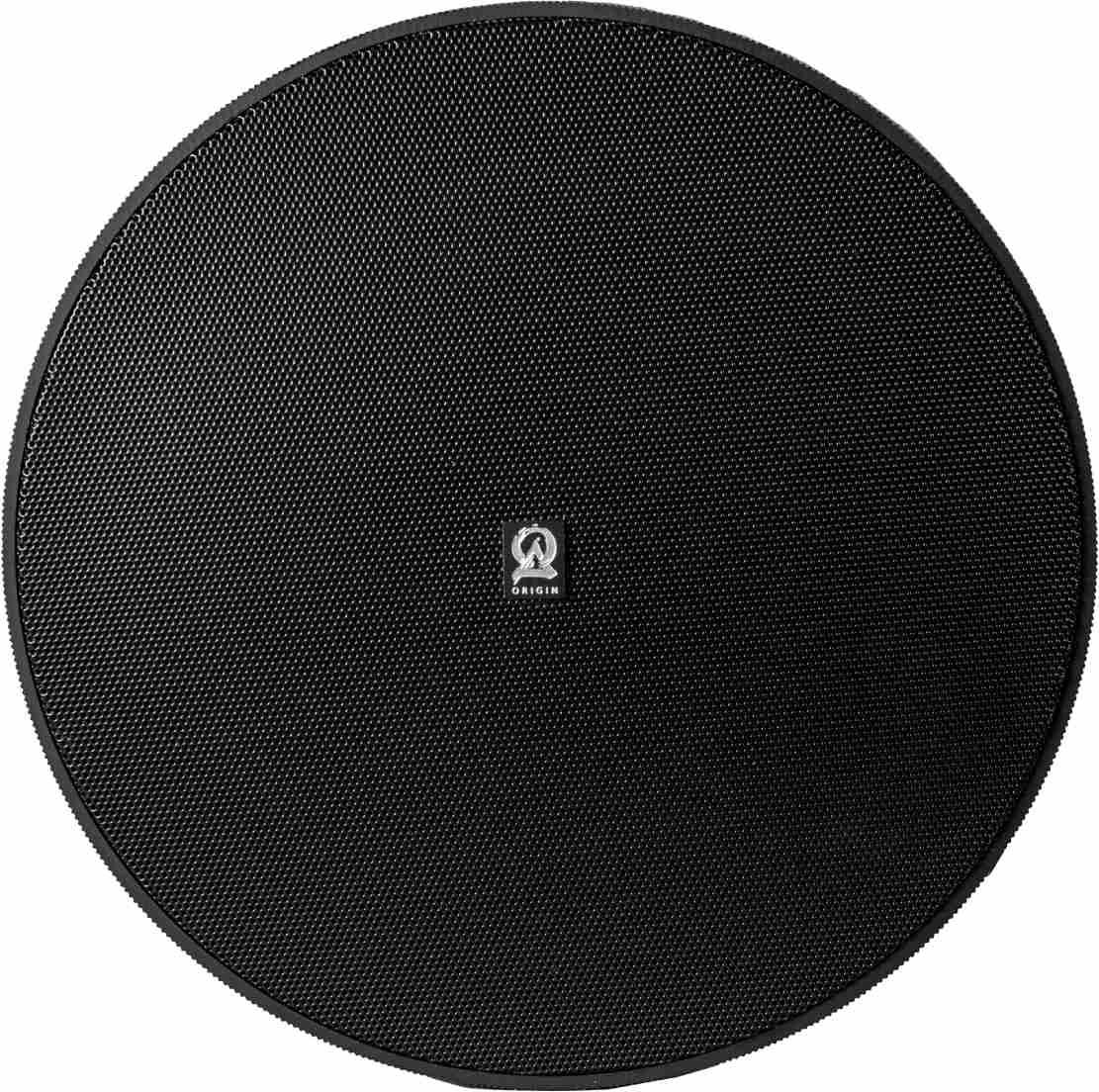 Origin Acoustics® Professional 6.5" Black Pendant Speaker