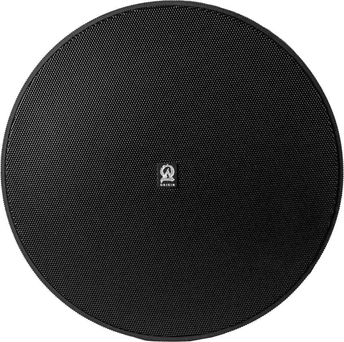 Origin Acoustics® Professional 6.5" Black Pendant Speaker