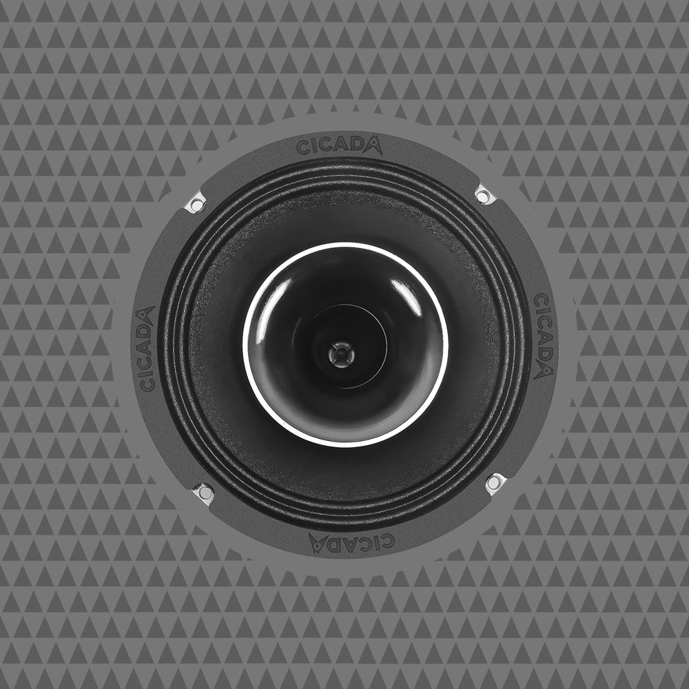 Cicada Audio Speaker CH65.2V2