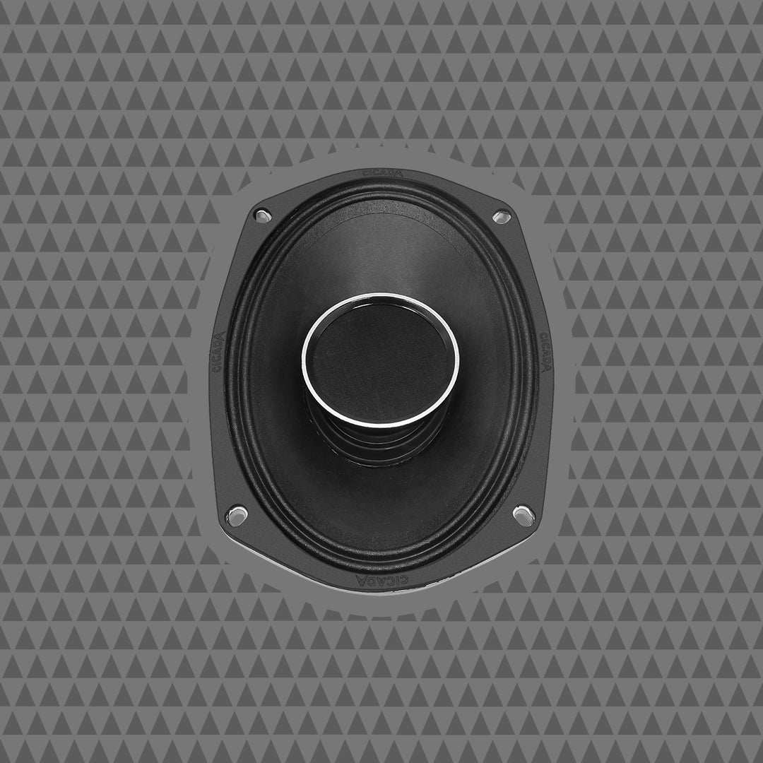 6×9-INCH COAXIAL HORN SPEAKERS – 2Ω