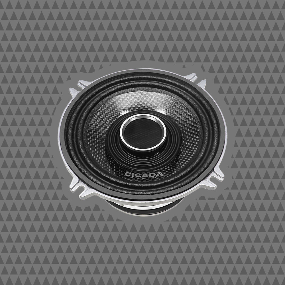 Cicada Audio Speaker CHX525.2