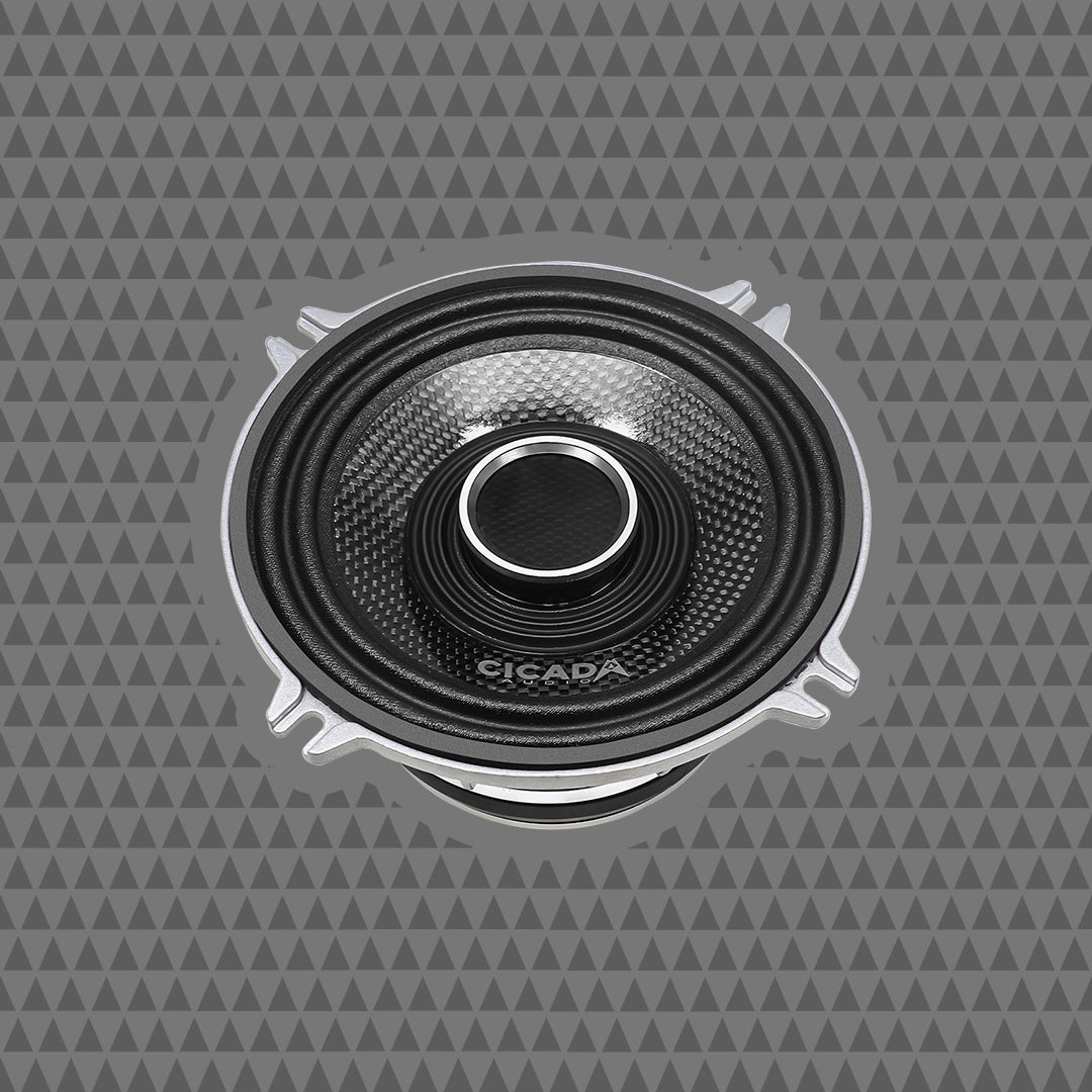 5.25″ Pro Coax Horn Speakers – 2Ω