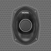 6×9″ Pro Coax Horn Speakers – 2Ω