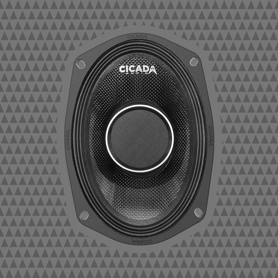 6×9″ Pro Coax Horn Speakers – 2Ω