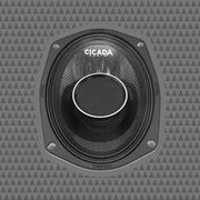6×9″ Pro Coax Horn Speakers – 2Ω