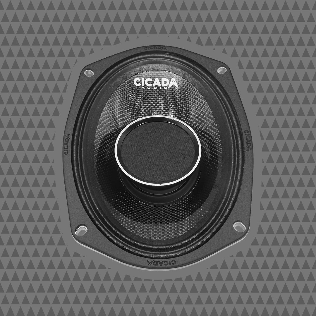 6×9″ Pro Coax Horn Speakers – 2Ω