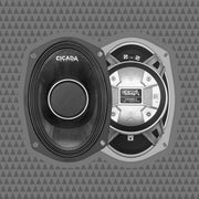 6×9″ Pro Coax Horn Speakers – 2Ω