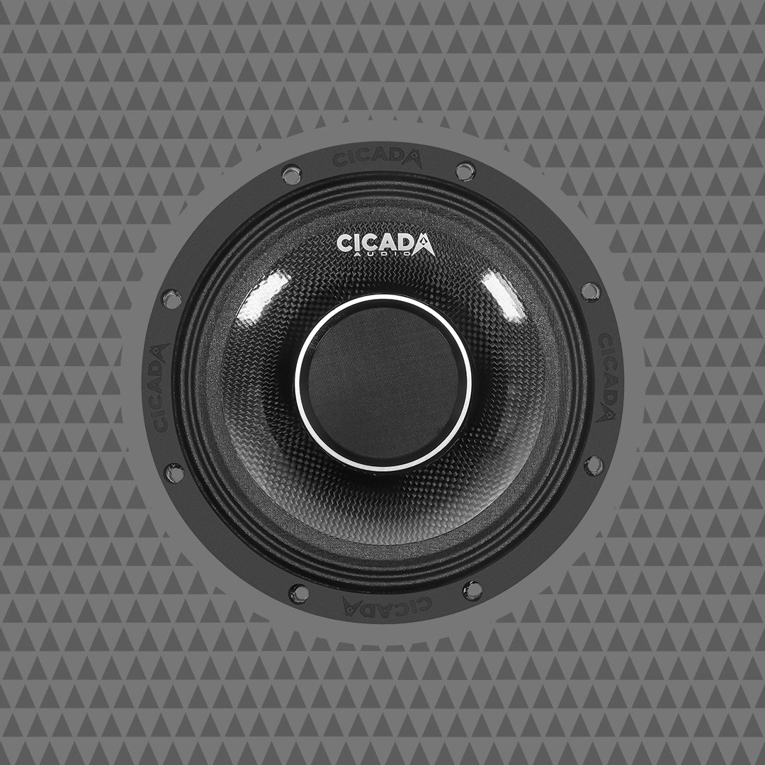 8″ Pro Coax Horn Speakers – 2Ω