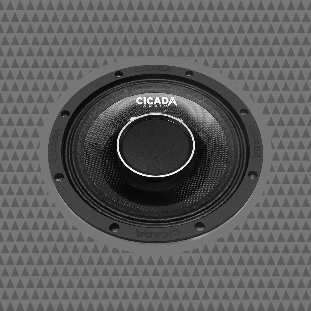 8″ Pro Coax Horn Speakers – 2Ω