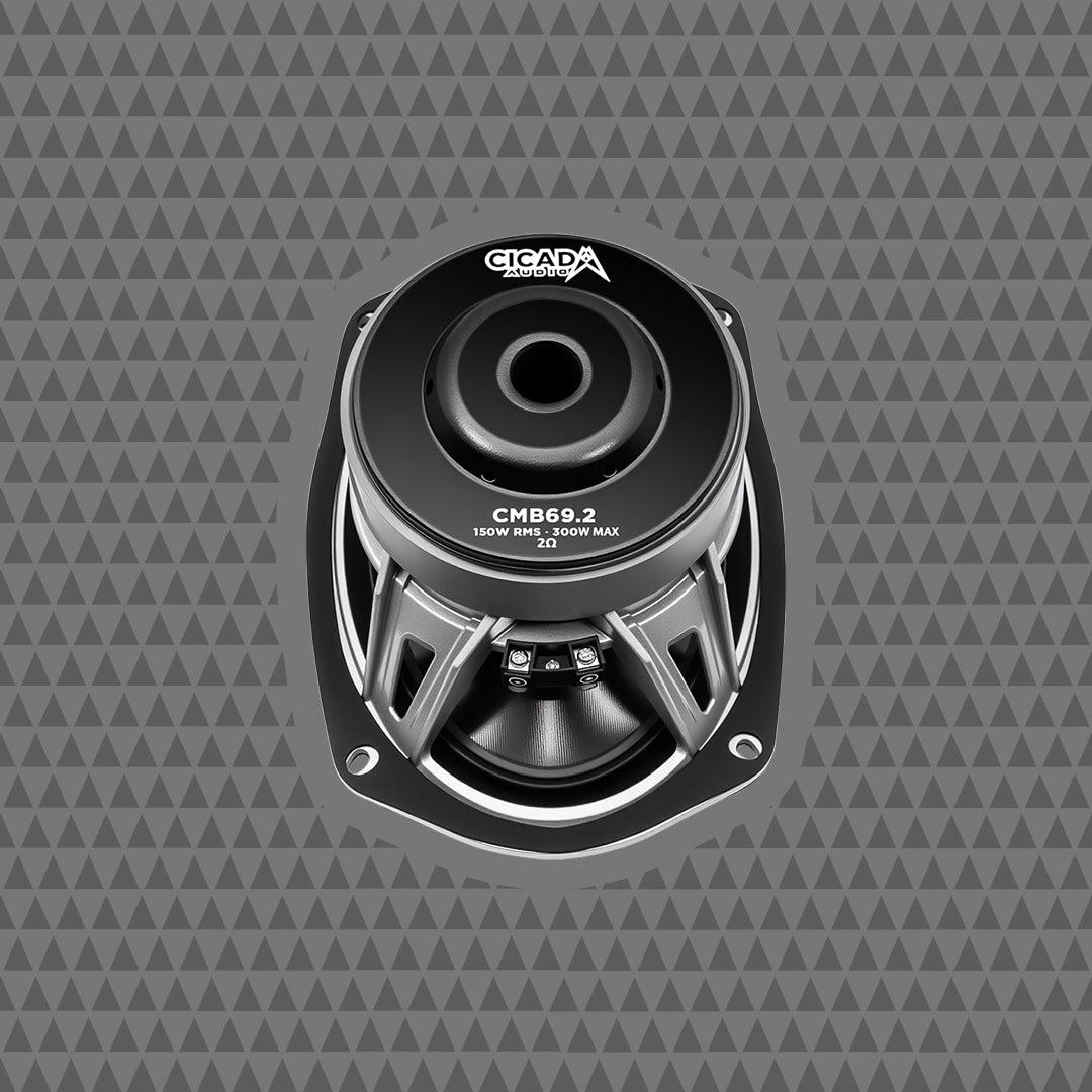 6 X 9-inch Pro Mid-Bass – 2Ω – PAIR