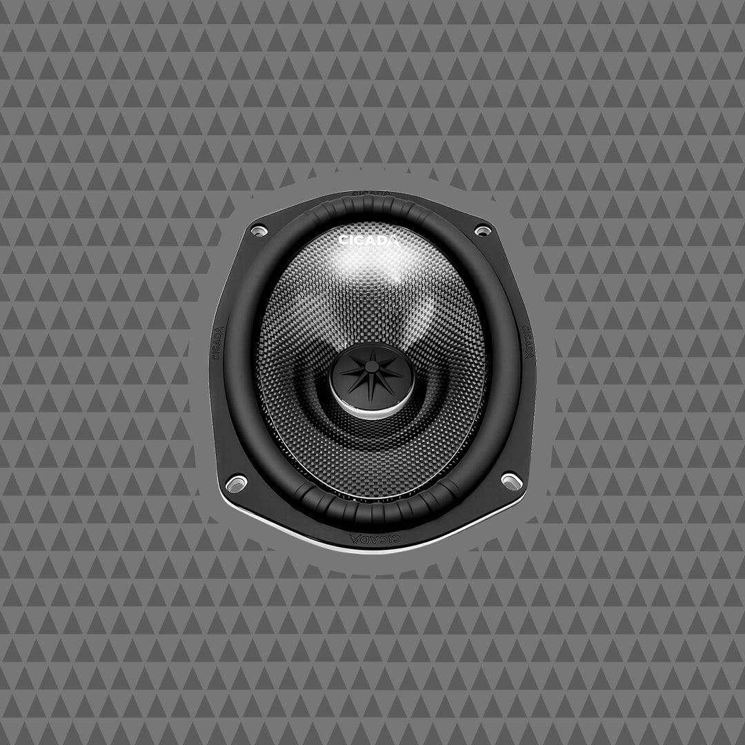 6 X 9-inch Pro Mid-Bass – 4Ω – PAIR