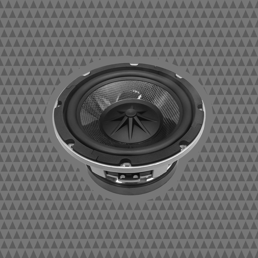 Cicada Audio Speaker CMB8S.4