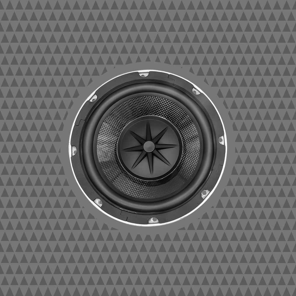 Cicada Audio Speaker CMB8S.4