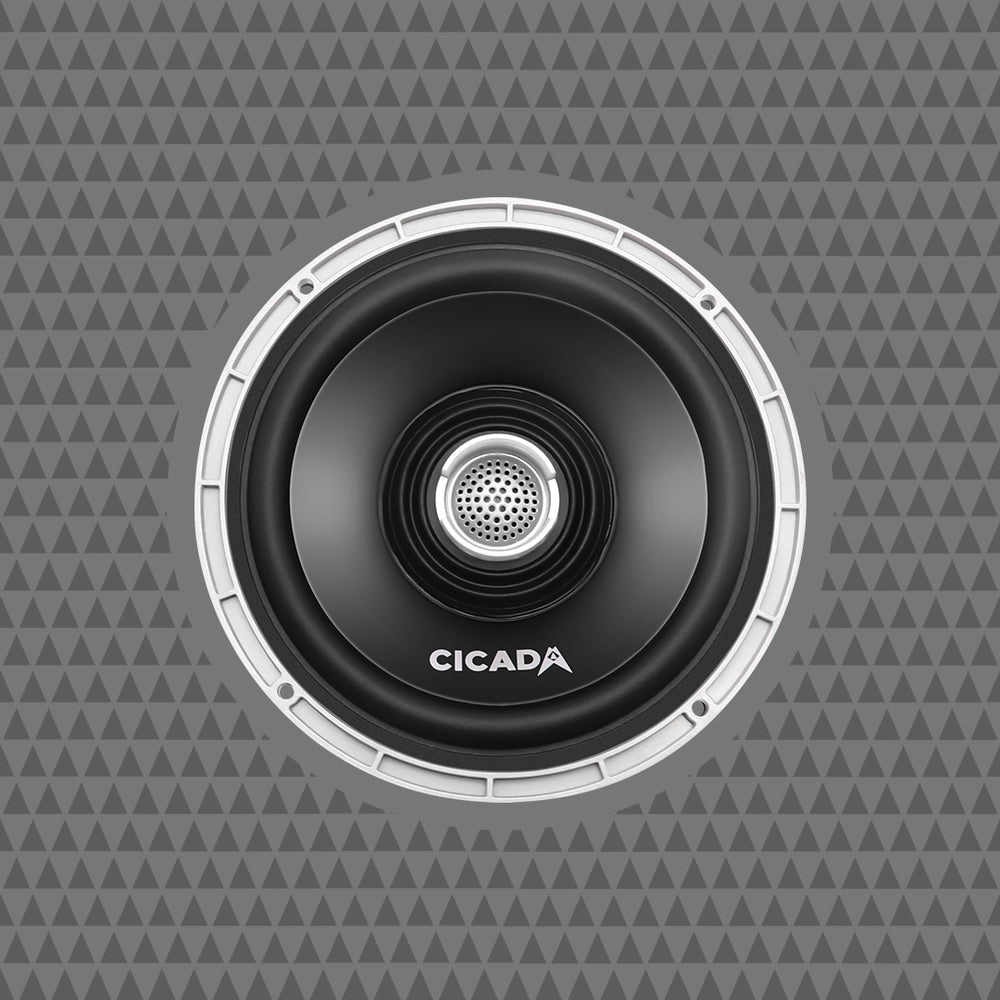 Cicada Audio Speaker CX65.4