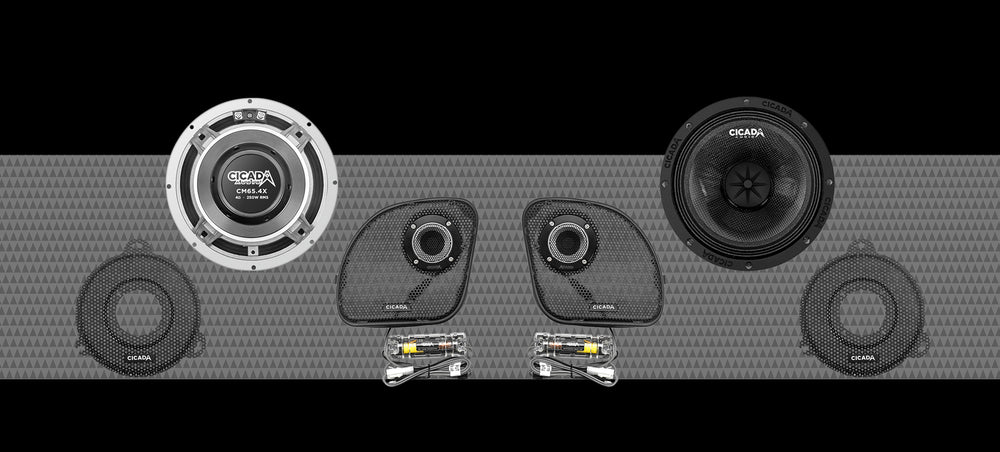 Cicada Audio Speaker 14CXK65.4