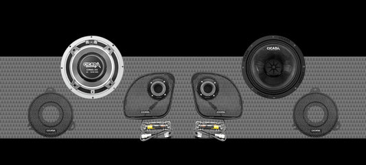 Cicada Audio Motorcycle Speaker 14CXK65.4