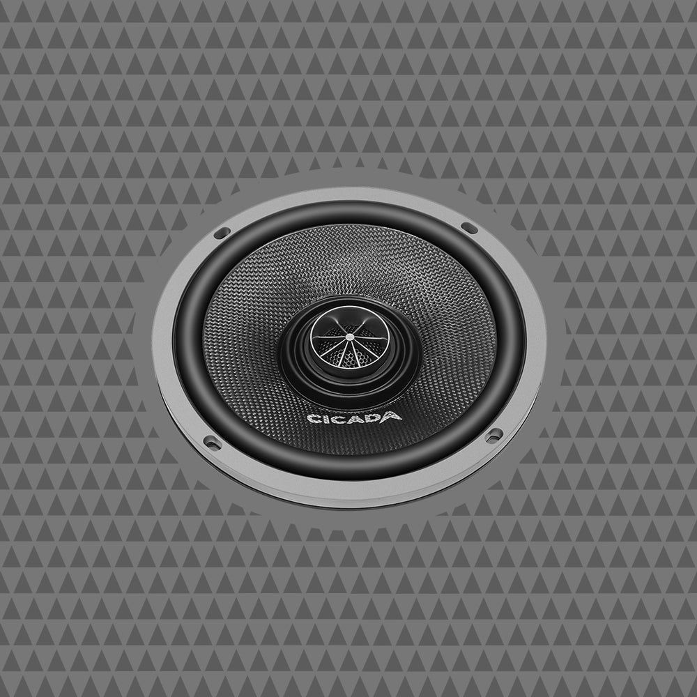 Cicada Audio Speaker CXX65.2