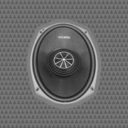 6×9-INCH PRO COAXIAL SPEAKERS – 4Ω