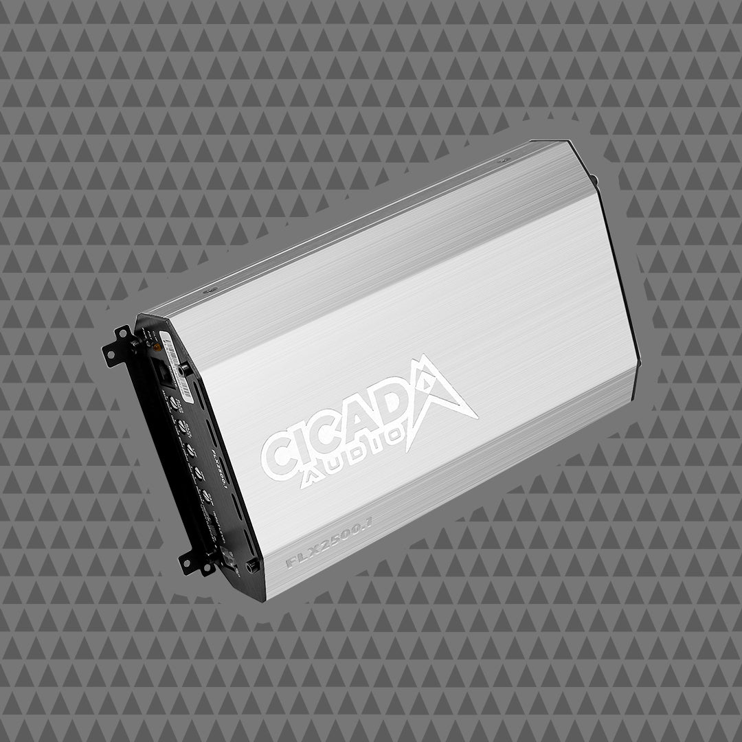 2500w X 1 MONO AMPLIFIER