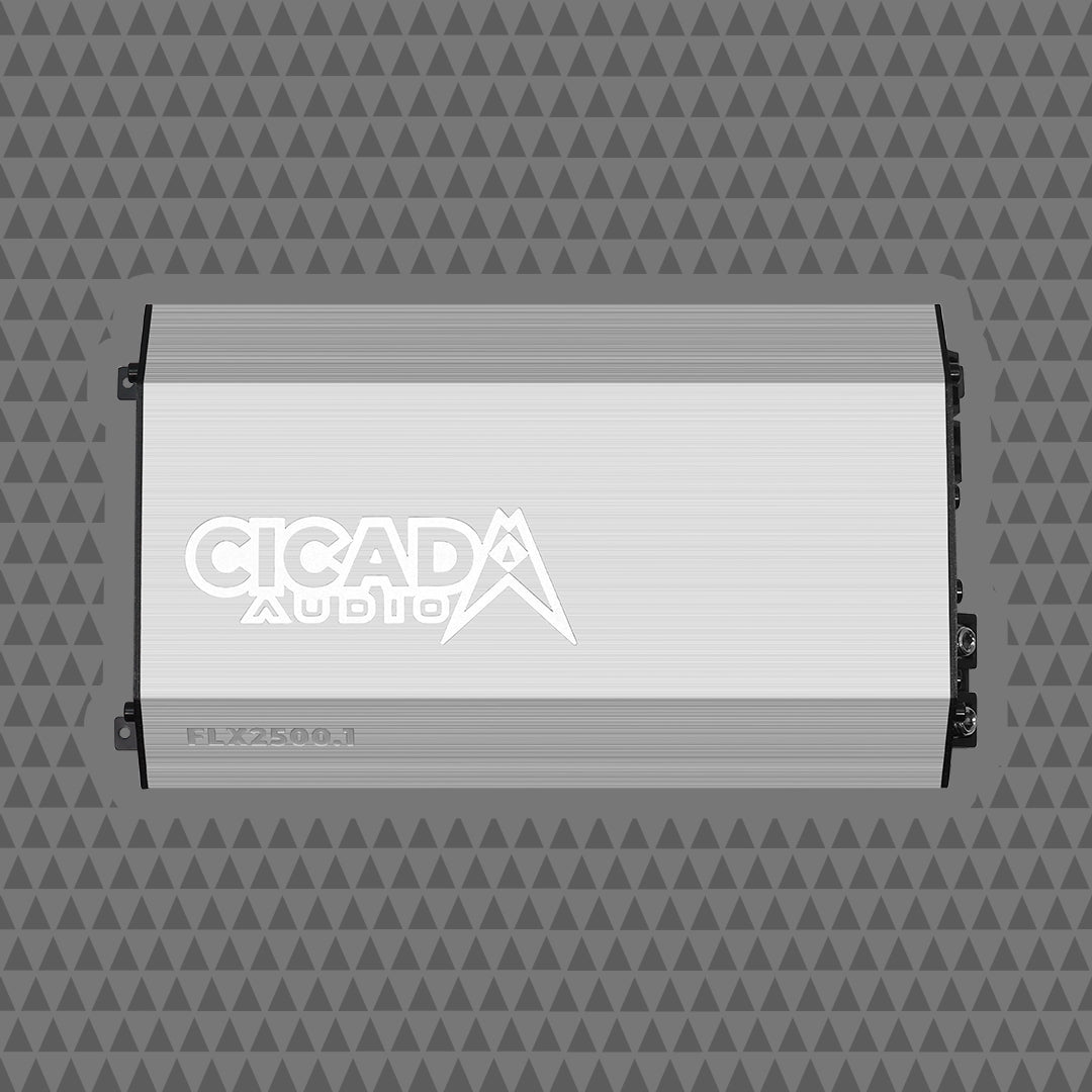 2500w X 1 MONO AMPLIFIER