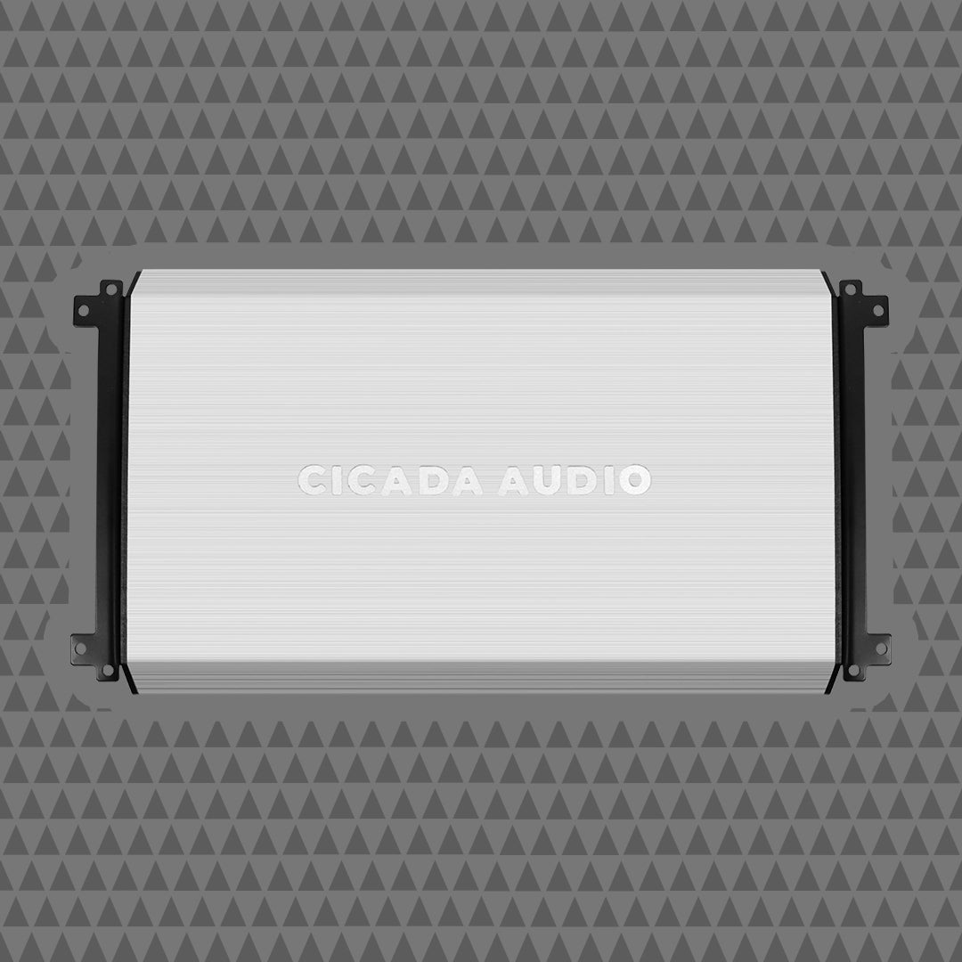 2500w X 1 MONO AMPLIFIER