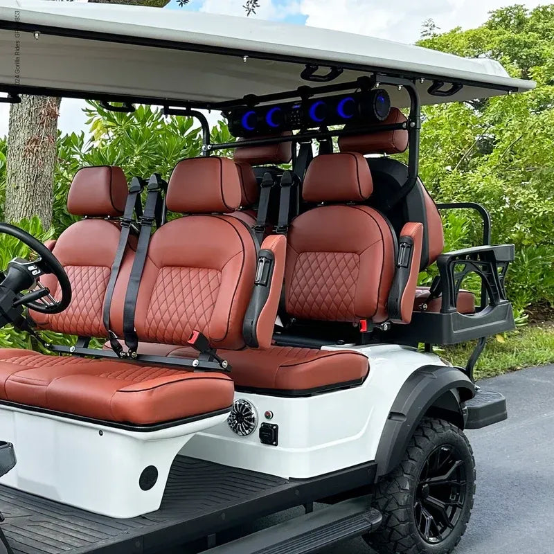 Everyday golf cart near a neighborhood pond