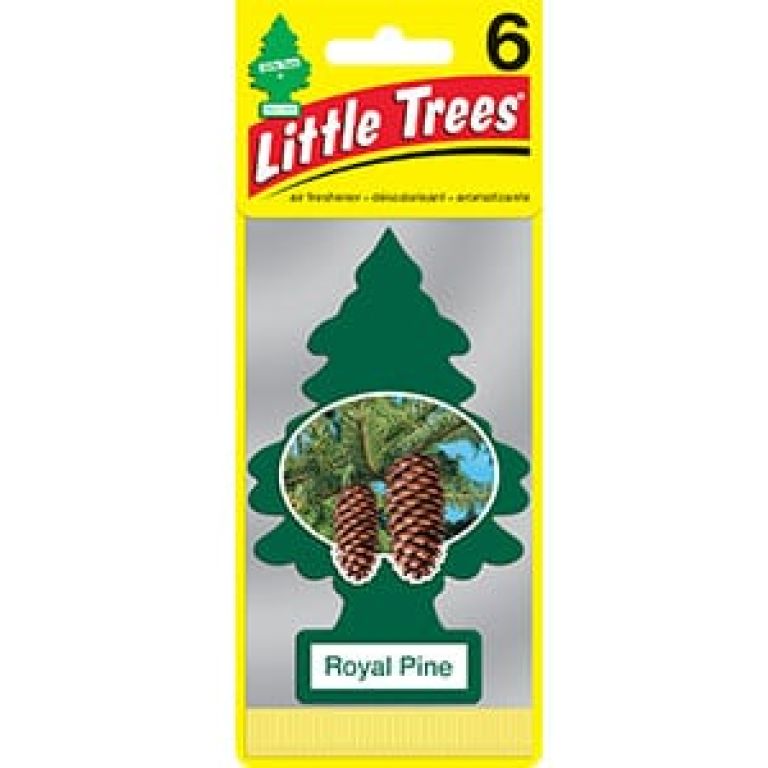Little Trees Royal Pine 6 Pack U6P60101