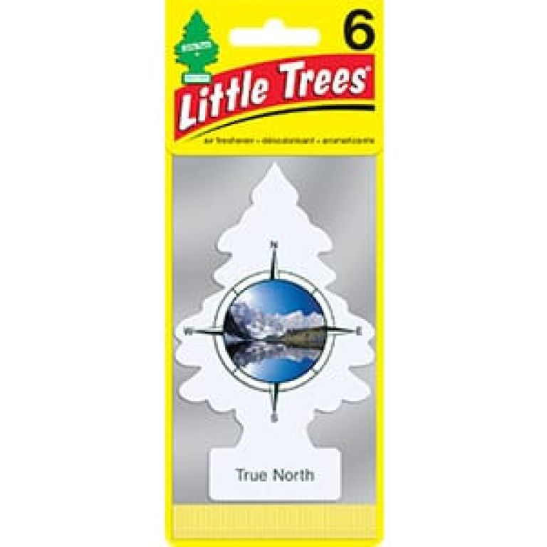 Little Trees True North 6 Pack U6P67146