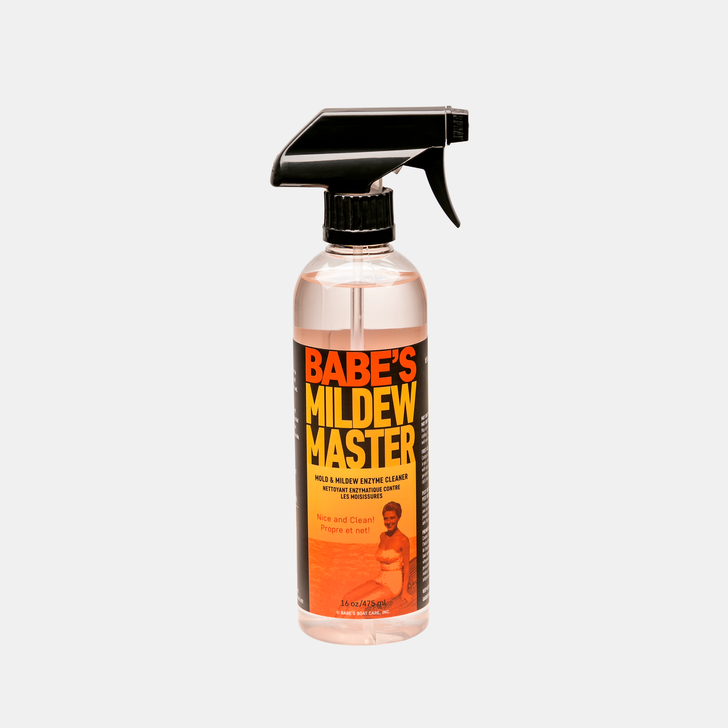 P & S Detail Products BABE'S Mildew Master BB8516