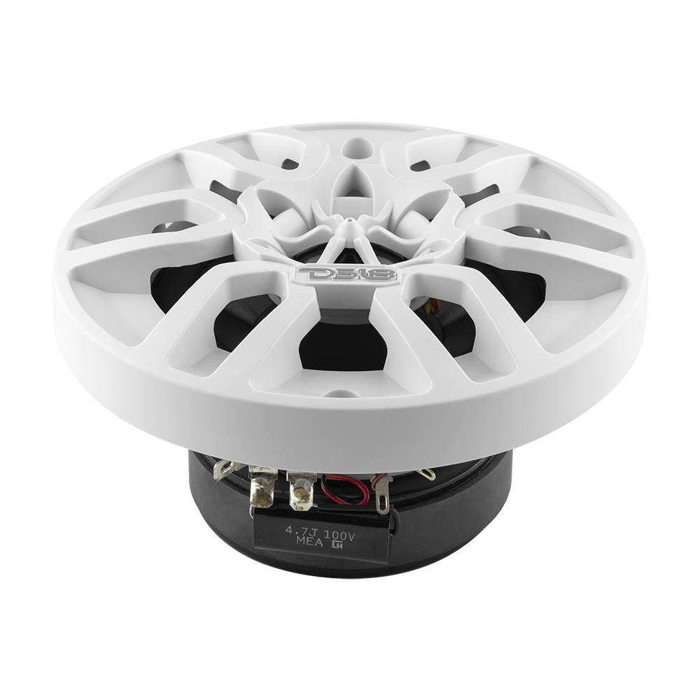DS18 Marine speaker NXL-4-WHI