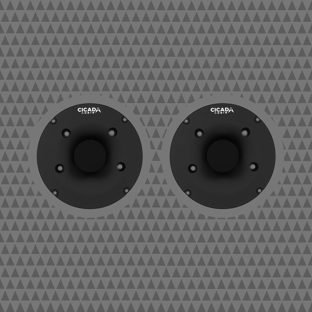 Cicada Audio Speaker RR3WG-65F
