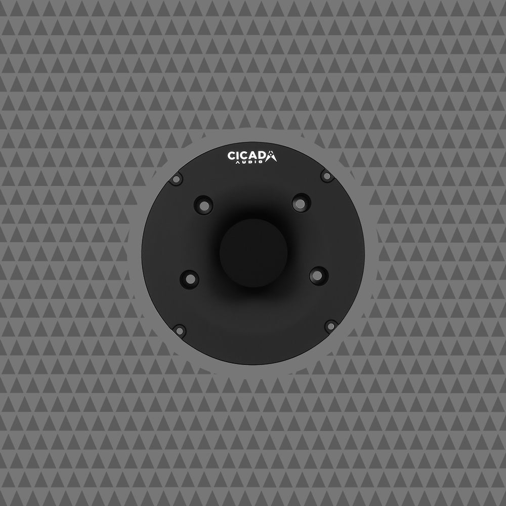 Cicada Audio Speaker RR3WG-65F