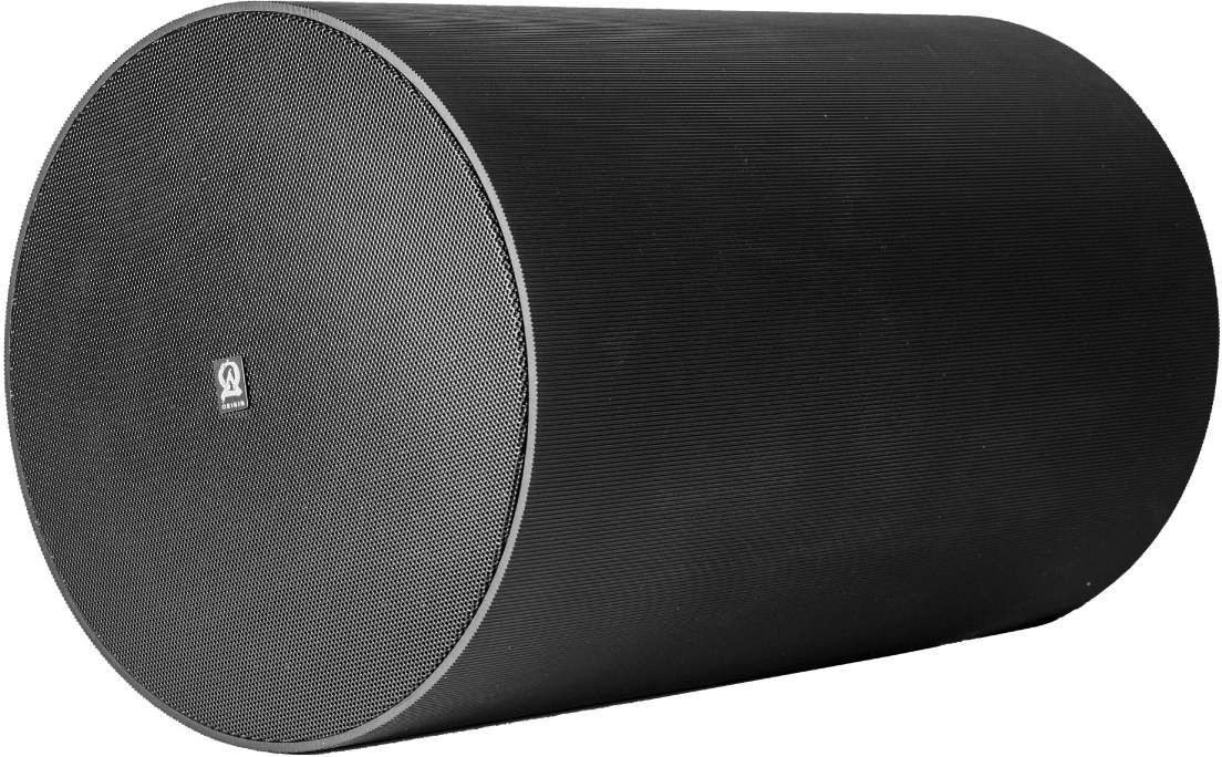 Origin Acoustics® Professional 6.5" Black Pendant Speaker
