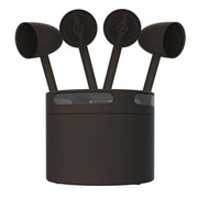 Acoustic Landscape Kit 4x5.25in Satellites /spikes, 10in sub
