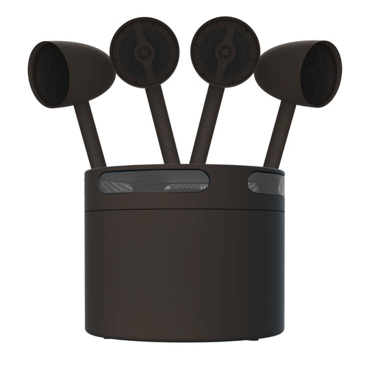 Acoustic Landscape Kit 4x5.25in Satellites /spikes, 10in sub