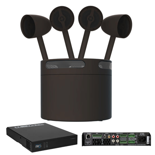 Acoustic Landscape Kit 4x5.25in Sat 10in sub & ProA250.2 Amp