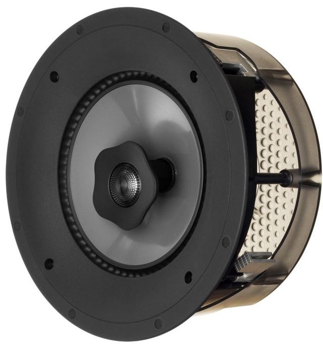 Paradigm® CI Pro P80-RX Outdoor/Marine Speaker